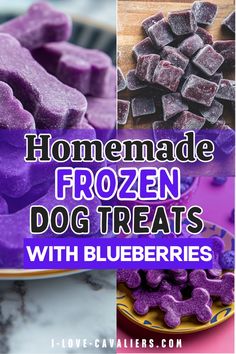 homemade frozen dog treats with blueberries in the background and text overlay that reads homemade frozen dog treats with blueberries