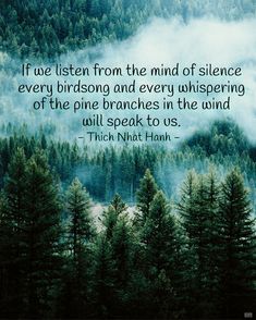 trees and fog with the quote if we listen from the mind of silente every birdsong and every whispering of the pine branches in the wind will speak to us