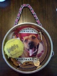 a dog in a hat with a tennis ball on it's back and a chain around its neck