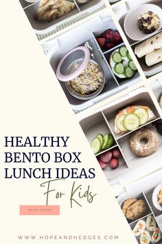 the easy bento box lunch ideas for kids