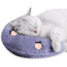 a white cat sleeping on top of a blue kitty bed with pink heart shaped patches