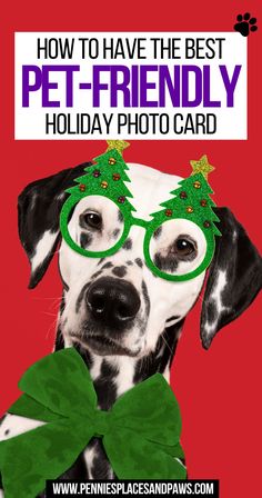 How to Have the Best Pet-Friendly Holiday Photo Card Dog Holiday Photoshoot, Holiday Dog Photos, Dog Holiday Cards, Holiday Photoshoot, Dog Holiday, Holiday Photo Cards