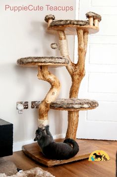 a cat sitting on top of a wooden scratching tree