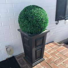 a potted plant sitting on top of a brick walkway