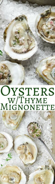 oysters on ice with text overlay