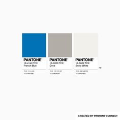 the pantone color scheme is shown in blue, gray and white