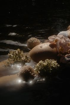 some rocks and flowers floating in the water at night with light reflecting off them on the surface