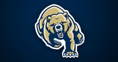 an image of a grizzly bear logo on a dark blue background with white lettering