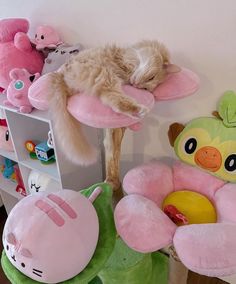 there are many stuffed animals on the shelves