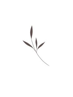 Minimal Leaves Tattoo, Delicate Plant Tattoo, Ornamental Leaf Tattoo, Minimal Leaf Tattoo, Shoulder Leaf Tattoo, Minimalist Leaf Tattoo, Minimal Plant Tattoo, Simple Leaf Tattoo, Tea Leaves Tattoo