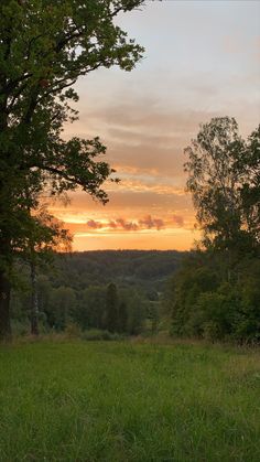 the sun is setting over some trees and grass