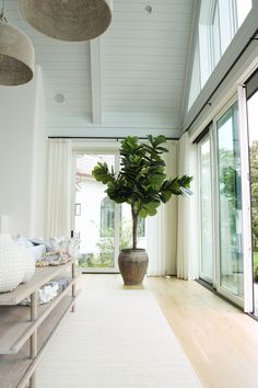 a large potted plant sitting on top of a wooden bench in a living room