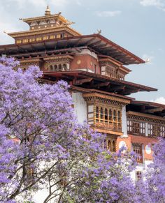 a tall building surrounded by trees and purple flowers