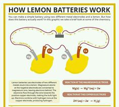 the diagram shows how lemon batteries work and what they are used to make them look like