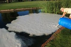 a man is using a large blue barrel to move water from the pond into the lake