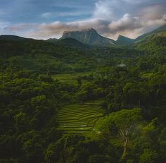 Dreaming of paradise? 🌴✨
Explore the breathtaking beauty of Sri Lanka and make 2025 your year of adventure! 🏞️🌊
📍 Where will your next journey take you? 💼
#VisitSriLanka #CleanSriLanka  #Travel2025 #SerendibAdventures #ExploreMore #Wanderlust
📸 Credit to the respective owner.