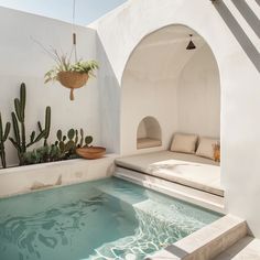 an indoor swimming pool with cactus and potted plants in the corner next to it