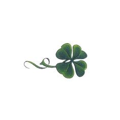 a four leaf clover on a white background