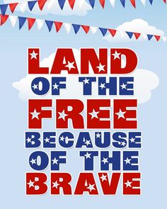 a poster with the words land of the free because of the brave in red, white and blue