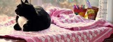 a black and white cat sitting on top of a pink blanket next to a window