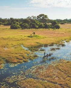 two people in canoes on the water surrounded by grass and trees, with an open field behind them