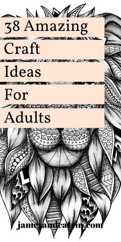 an adult coloring book cover with the title'33 amazing craft ideas for adults '