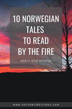 the words 10 norwegian tales to read by the fire in front of a sunset sky