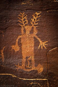 a rock painting with an animal and plant on it