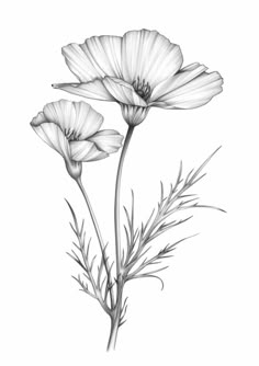 two flowers are shown in black and white