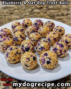 Blueberry Oat, Homemade Dog, Rolled Oats, Dog Treats, Oats, Dog Food Recipes, Peanut Butter, Peanut