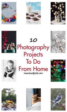 the top ten photography projects to do from home with pictures of birds, flowers and other things