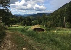 a grass roofed hut in the middle of a forest