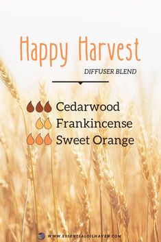 Fall Essential Oil Blends, Beauty Hacks That Actually Work, Fall Essential Oils, Fall Diffuser Blends, Essential Oil Combinations, Essential Oil Diffuser Blends Recipes, Young Living Essential Oils Recipes, Happy Harvest, Beauty Tips And Tricks