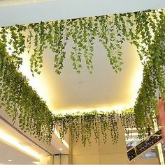 some green plants hanging from the ceiling in an office building with white walls and lights