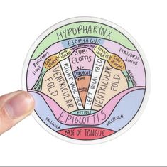 a hand holding up a sticker with the names of different types of things on it