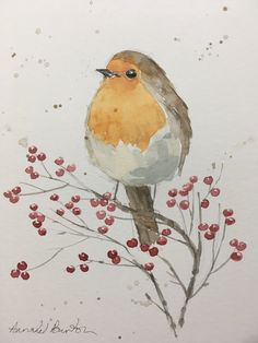 a watercolor painting of a bird on a branch with berries