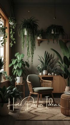 a living room filled with lots of green plants