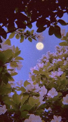 the moon shines brightly through the branches of trees in front of blue sky with white flowers