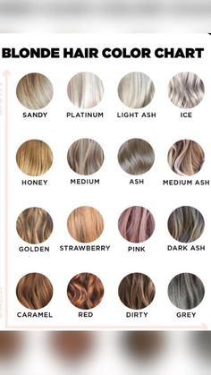 Hair Ombre Brown, Rose Blonde, Dread Extensions, Fall Hair Cuts, Ombre Brown, Fall Hair Trends, Fall Hair Color For Brunettes