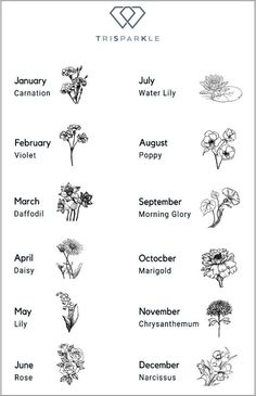 an image of flowers and their names