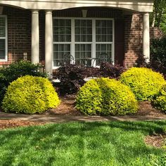 some bushes and trees in front of a brick house with white trim on the windows