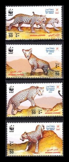 three stamps with different pictures of cheetah and leopards on them, one is in