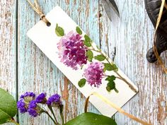 purple flowers and green leaves are on the table next to a piece of white paper