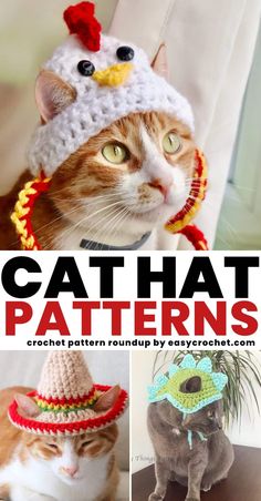 crochet cat hat patterns for cats and kittens