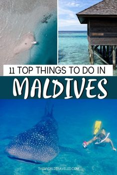 the top things to do in maldives, with text overlaying it