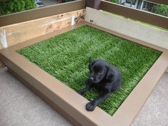 a small black dog laying on top of a green grass covered bed in a backyard