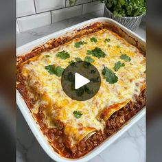 a casserole dish with meat and cheese in it on a kitchen counter next to a potted plant