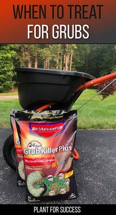 lawn spreader with bags of grub killer in front Common Lawn Weeds, Grub Worms, Lawn Renovation, Lawn Care Schedule, Weeds In Lawn