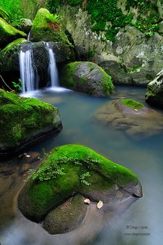 there is a small waterfall in the middle of some mossy rocks and water flowing down it