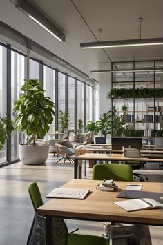 an office with plants in the windows and desks set up for people to work